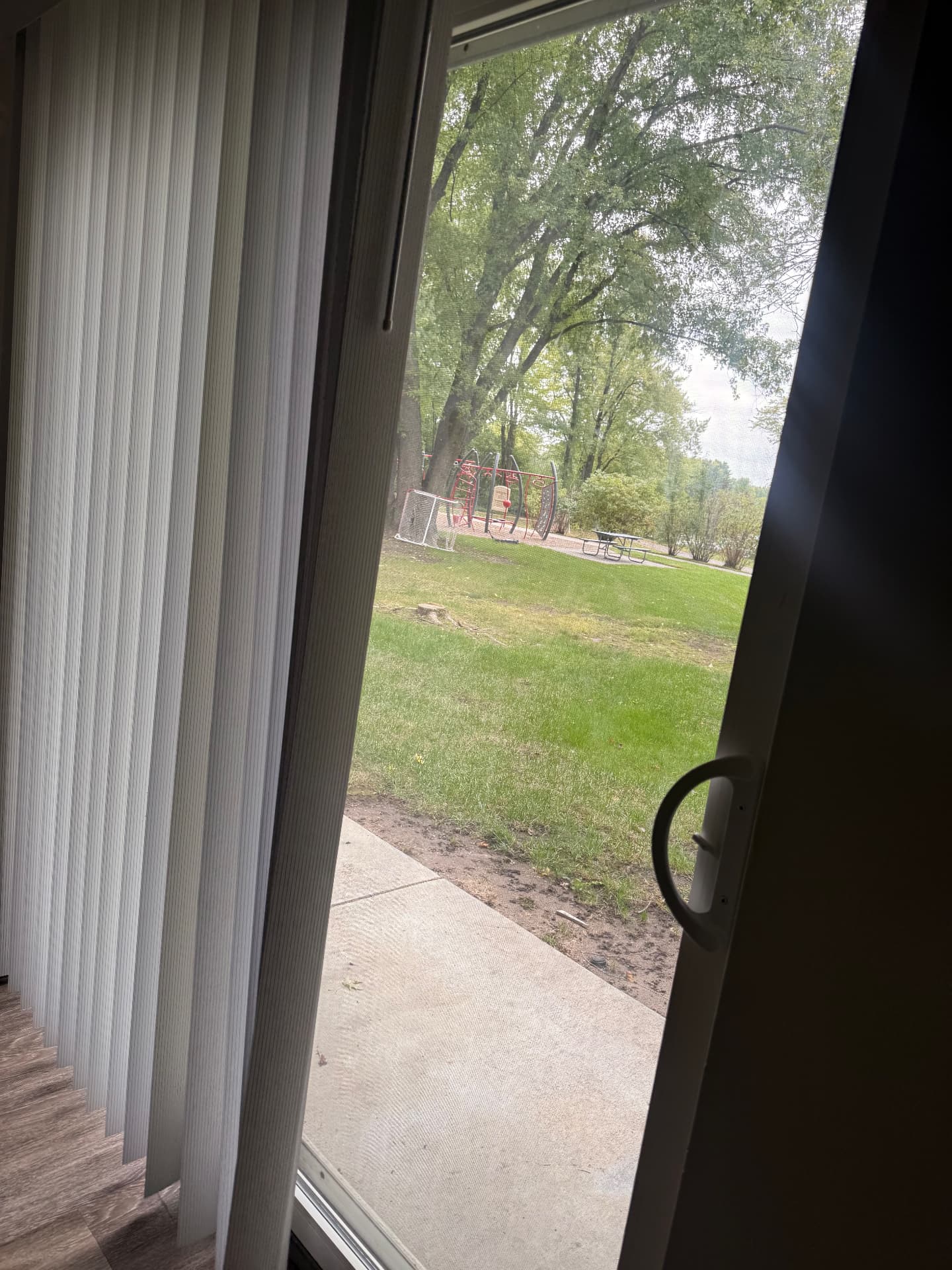 Windows after cleaning