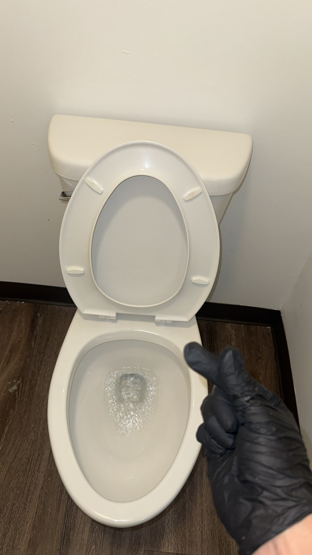 Toilet after cleaning
