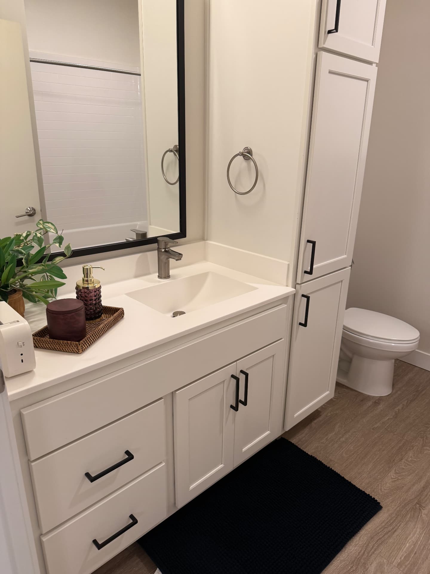 Clean bathroom vanity and cabinets