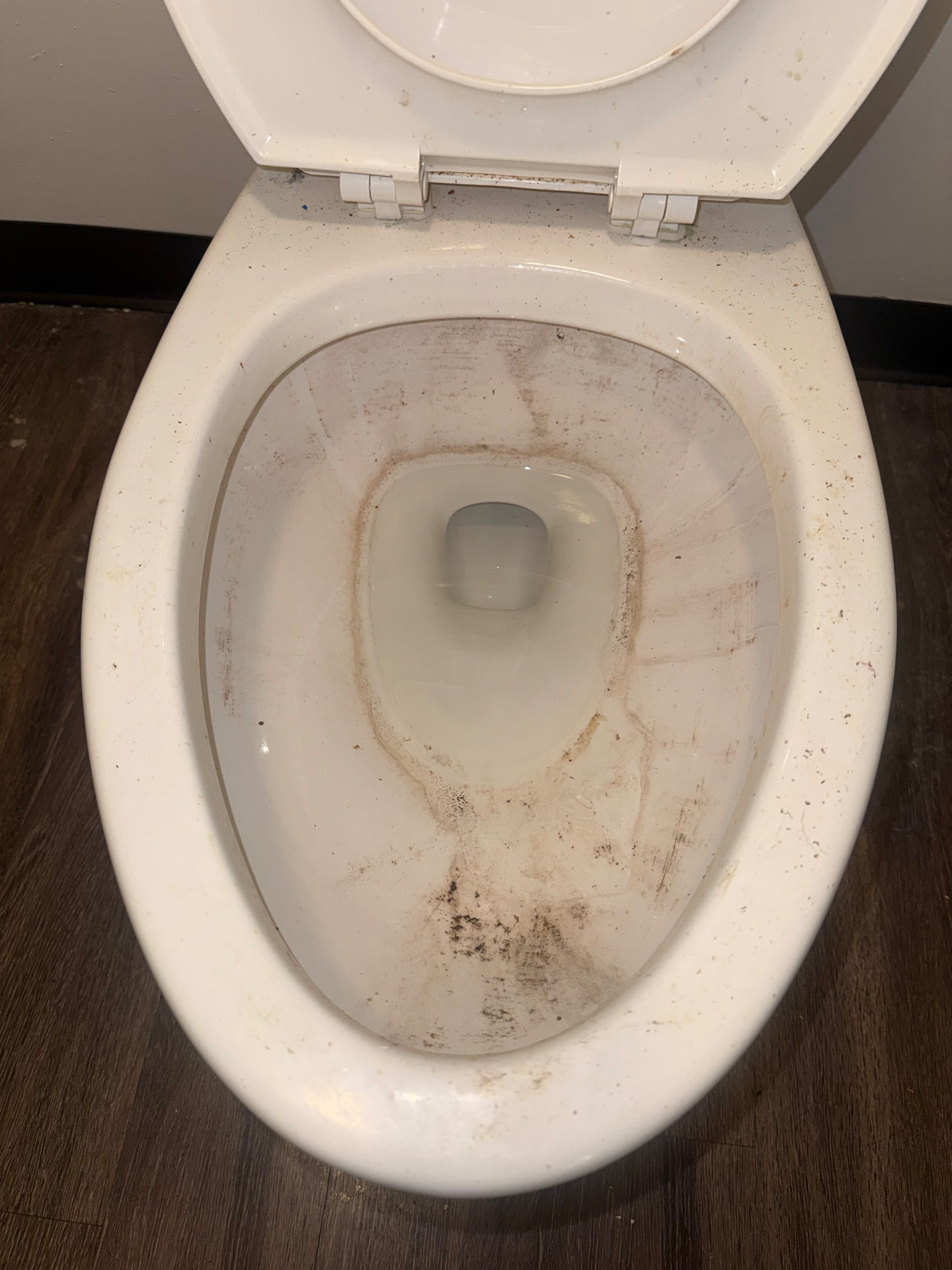 Toilet before cleaning
